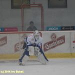 Hokej: Táborští Kohouti s přehledem přehráli Děčín