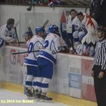 Hokej: Táborští Kohouti s přehledem přehráli Děčín