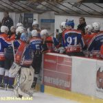 Hokej: Táborští Kohouti s přehledem přehráli Děčín