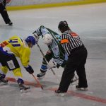 Lední hokej: Čápův hattrick udržel Veselí mezi elitou
