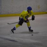 Lední hokej: Čápův hattrick udržel Veselí mezi elitou
