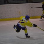 Lední hokej: Čápův hattrick udržel Veselí mezi elitou