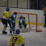 Lední hokej: Čápův hattrick udržel Veselí mezi elitou