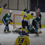 Lední hokej: Čápův hattrick udržel Veselí mezi elitou