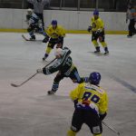Lední hokej: Čápův hattrick udržel Veselí mezi elitou