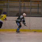 Lední hokej: Čápův hattrick udržel Veselí mezi elitou