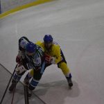 Lední hokej: Čápův hattrick udržel Veselí mezi elitou