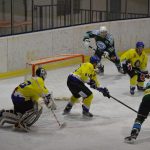 Lední hokej: Čápův hattrick udržel Veselí mezi elitou