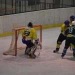 Lední hokej: Čápův hattrick udržel Veselí mezi elitou