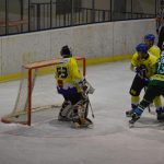 Lední hokej: Čápův hattrick udržel Veselí mezi elitou