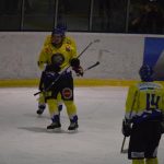 Lední hokej: Čápův hattrick udržel Veselí mezi elitou