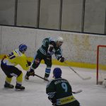Lední hokej: Čápův hattrick udržel Veselí mezi elitou