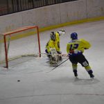 Lední hokej: Čápův hattrick udržel Veselí mezi elitou