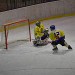 Lední hokej: Čápův hattrick udržel Veselí mezi elitou