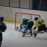 Lední hokej: Čápův hattrick udržel Veselí mezi elitou