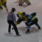 Lední hokej: Čápův hattrick udržel Veselí mezi elitou