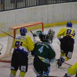 Lední hokej: Čápův hattrick udržel Veselí mezi elitou