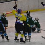 Lední hokej: Čápův hattrick udržel Veselí mezi elitou