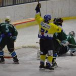 Lední hokej: Čápův hattrick udržel Veselí mezi elitou