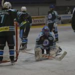 Lední hokej: Čápův hattrick udržel Veselí mezi elitou