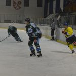 Lední hokej: Čápův hattrick udržel Veselí mezi elitou
