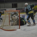 Lední hokej: Čápův hattrick udržel Veselí mezi elitou