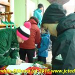 V Čížové létaly stromky vzduchem už pošesté