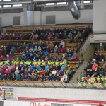 Krasobruslařské kluby předvedly pohádkovou show
