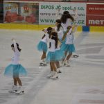 Krasobruslařské kluby předvedly pohádkovou show