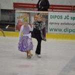 Krasobruslařské kluby předvedly pohádkovou show
