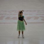 Krasobruslařské kluby předvedly pohádkovou show