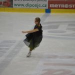 Krasobruslařské kluby předvedly pohádkovou show