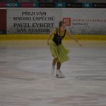 Krasobruslařské kluby předvedly pohádkovou show