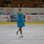 Krasobruslařské kluby předvedly pohádkovou show