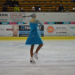 Krasobruslařské kluby předvedly pohádkovou show