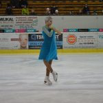 Krasobruslařské kluby předvedly pohádkovou show