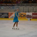 Krasobruslařské kluby předvedly pohádkovou show