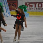 Krasobruslařské kluby předvedly pohádkovou show