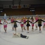 Krasobruslařské kluby předvedly pohádkovou show