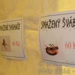 Protivínem prošel maškarní průvod