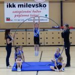 Nejnavštěvovanější sportovní akce v Milevsku: sokolská akademie