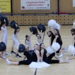 Nejnavštěvovanější sportovní akce v Milevsku: sokolská akademie