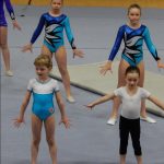 Nejnavštěvovanější sportovní akce v Milevsku: sokolská akademie