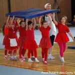 Nejnavštěvovanější sportovní akce v Milevsku: sokolská akademie