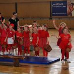 Nejnavštěvovanější sportovní akce v Milevsku: sokolská akademie