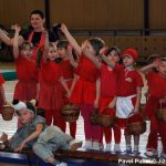 Nejnavštěvovanější sportovní akce v Milevsku: sokolská akademie