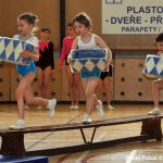 Nejnavštěvovanější sportovní akce v Milevsku: sokolská akademie