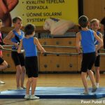 Nejnavštěvovanější sportovní akce v Milevsku: sokolská akademie