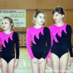 Nejnavštěvovanější sportovní akce v Milevsku: sokolská akademie