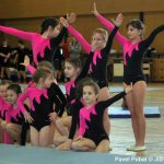 Nejnavštěvovanější sportovní akce v Milevsku: sokolská akademie